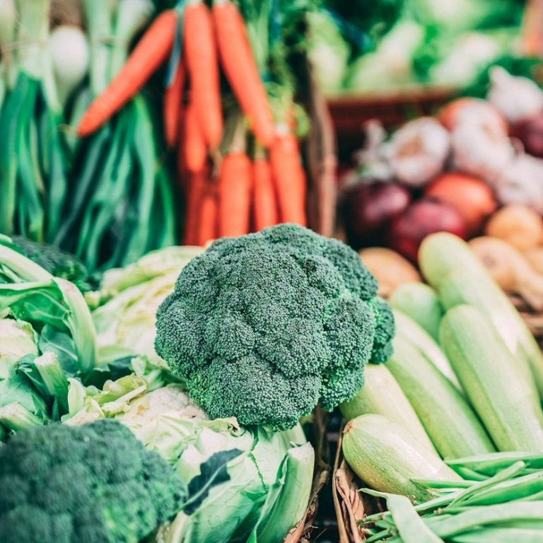 Bild mit viel Gemüse, wie Brokkoli, Karotten, Sellerie, usw. – Beikostberatung